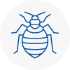 Bed Bug Extermination In West Bromwich